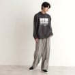 ザ ショップ ティーケー（メンズ）(THE SHOP TK(Men))のツータックワイドストレートスラックス ツイル／デニム14