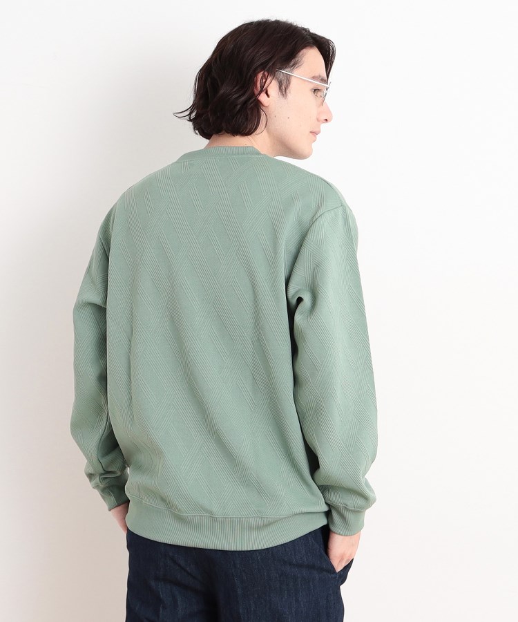 ザ ショップ ティーケー（メンズ）(THE SHOP TK(Men))のリンクススウェットプルオーバー10