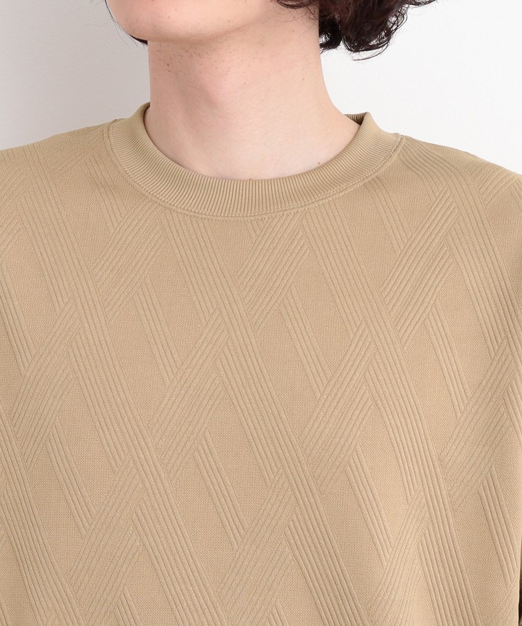 ザ ショップ ティーケー（メンズ）(THE SHOP TK(Men))のリンクススウェットプルオーバー24