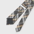 ザ ショップ ティーケー（メンズ）(THE SHOP TK(Men))のベーシックチェック柄ネクタイ3