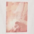 ザ ショップ ティーケー（メンズ）(THE SHOP TK(Men))の【Begin6月号掲載】オーガニックコットンプリント半袖Tシャツ9