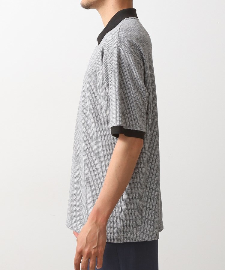 ザ ショップ ティーケー（メンズ）(THE SHOP TK(Men))のジャカードポロシャツ13
