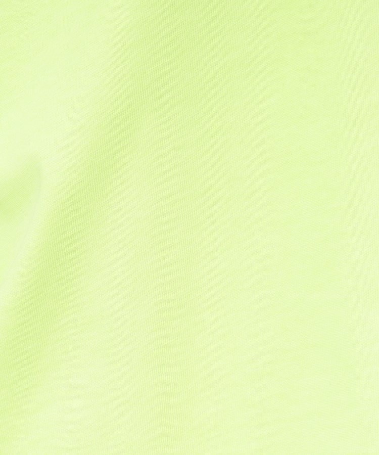 オペークドットクリップ(OPAQUE.CLIP)のクロップドバックシャンTシャツ38