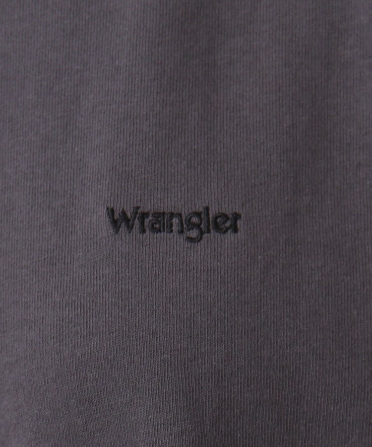 シューラルー/ドレスキップ(SHOO・LA・RUE/DRESKIP)の◆【wrangler(ラングラー)別注】ノ－スリロゴTシャツ21