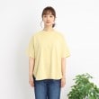 シューラルー/ドレスキップ(SHOO・LA・RUE/DRESKIP)の【USAコットン】シンプルラウンドカット ゆるTシャツ48