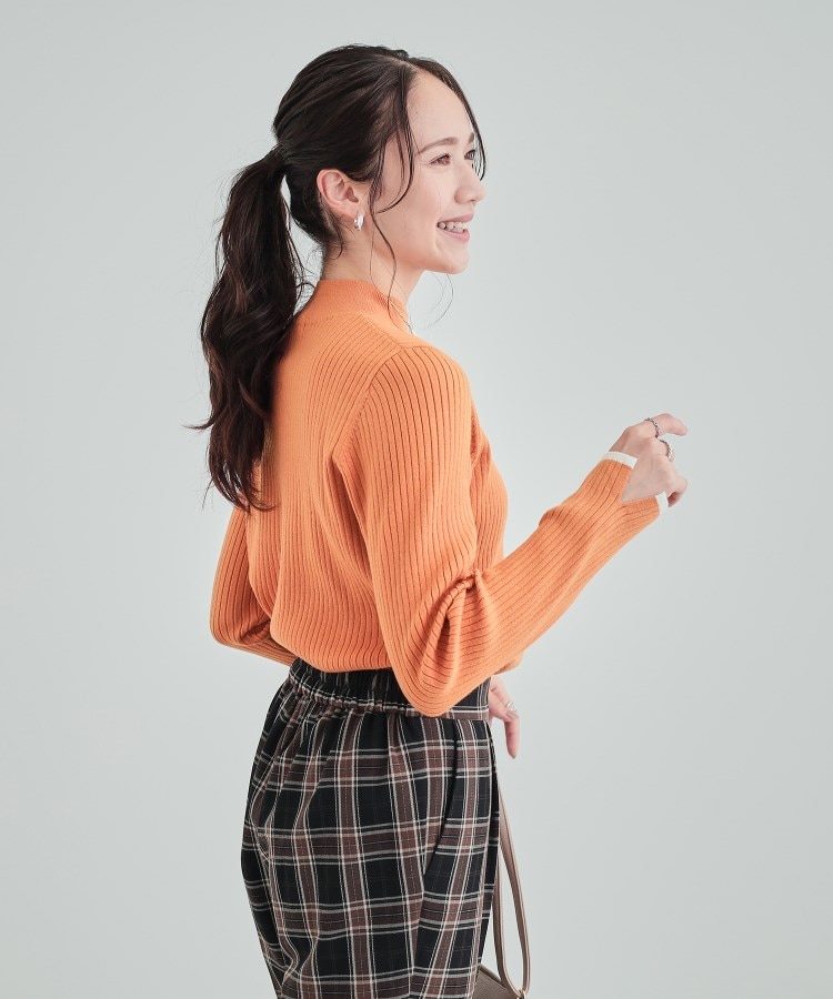 シューラルー/ドレスキップ(SHOO・LA・RUE/DRESKIP)の【洗える】1枚でこなれ見え 配色ライン リブハイネックニット24