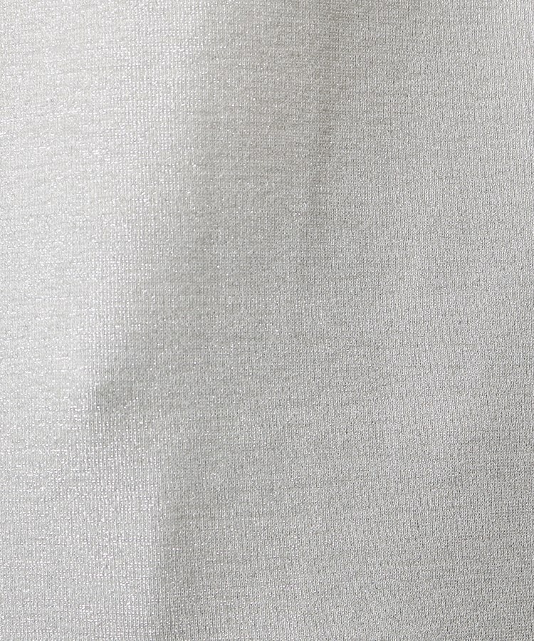 シューラルー/ドレスキップ(SHOO・LA・RUE/DRESKIP)のきらっとラメが大人の魅力 ラメクルーネックTシャツ4