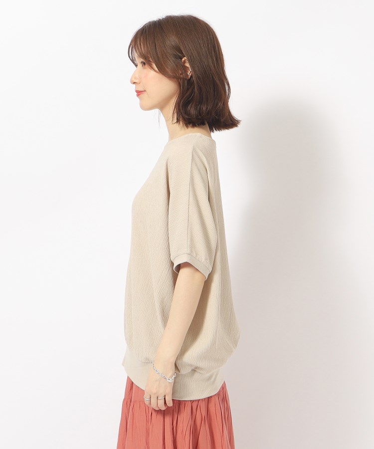 シューラルー/ドレスキップ(SHOO・LA・RUE/DRESKIP)の【高レビュー/洗える/UV】二の腕カバー インもアウトも楽しめる しぼしぼドルマントップス28