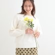 シューラルー/ドレスキップ(SHOO・LA・RUE/DRESKIP)の【洗える/S-LL】大人上品 お袖パール調ボタン付き ボートネックニット オフホワイト(003)