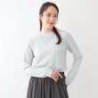 シューラルー/ドレスキップ(SHOO・LA・RUE/DRESKIP)の【S-LL】一枚でもインナーでも ふくれジャカード プチハイネックトップス5