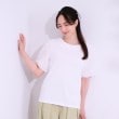 シューラルー/ドレスキップ(SHOO・LA・RUE/DRESKIP)の【シューアイス】袖シアーバルーントップス1