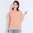シューラルー/ドレスキップ(SHOO・LA・RUE/DRESKIP)の【S-LL/ひんやり/洗濯後しわになりにくい】程よいシアー感 ロゴTシャツブラウス13