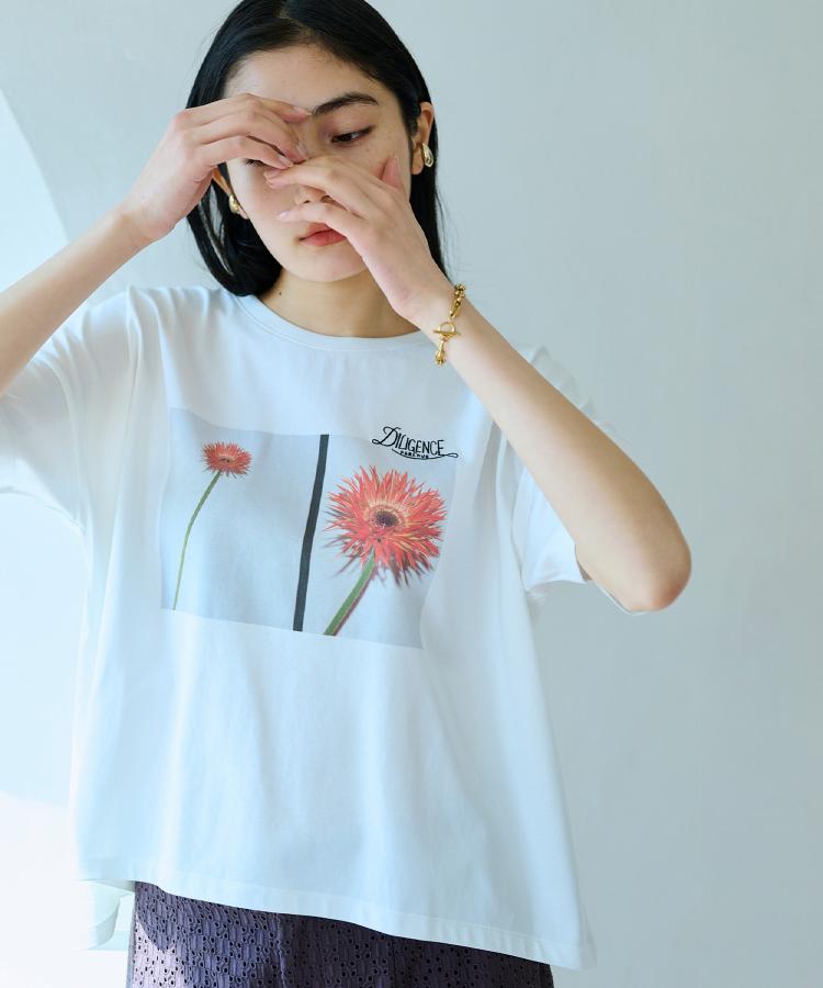 GLOBE グローブ Tシャツ Living Low Velocity Tee 半袖