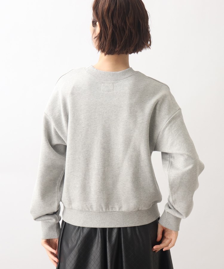 Wrangler(ラングラー)別注】カレッジロゴがポイント!裏毛プル Wrangler(ラングラー)別注】カレッジロゴがポイント!裏毛プル