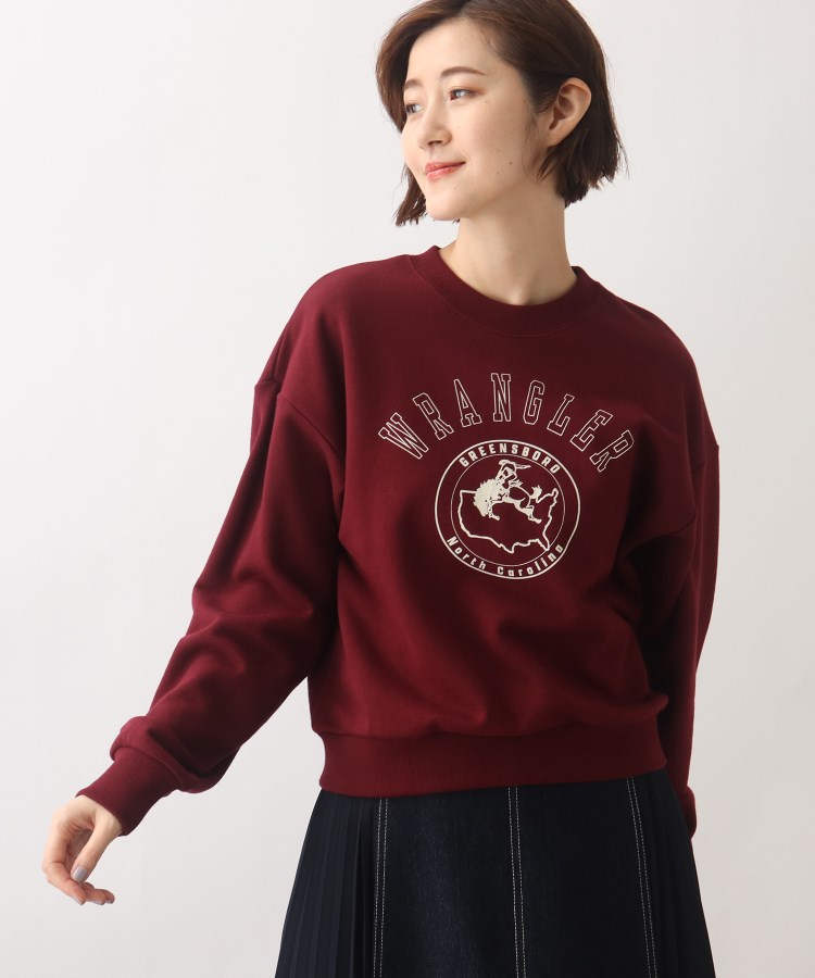 Wrangler(ラングラー)別注】カレッジロゴがポイント!裏毛プル Wrangler(ラングラー)別注】カレッジロゴがポイント!裏毛プル