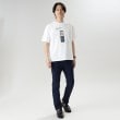 タケオキクチ(TAKEO KIKUCHI)の【Sサイズ～】日本画 グラフィック プリント Tシャツ 東京15
