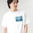 タケオキクチ(TAKEO KIKUCHI)の【Sサイズ～】日本画 グラフィック プリント Tシャツ 宮城14