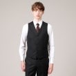 タケオキクチ(TAKEO KIKUCHI)の【DORMEUIL】オルタネートストライプ ベスト15