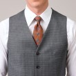 タケオキクチ(TAKEO KIKUCHI)の【DORMEUIL】マイクロギンガムチェック ベスト13