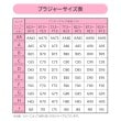 ワコール(WACOAL)のサイズや体型特徴に合わせた設計 ブラジャー／BXC4108