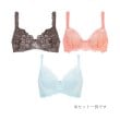 ウイング(Wing)の【福袋】 ブラジャー Wing Lesiage 3枚セット PB98654
