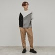 ティーケー タケオ キクチ(tk.TAKEO KIKUCHI)のポリツイルWテーパードパンツ19