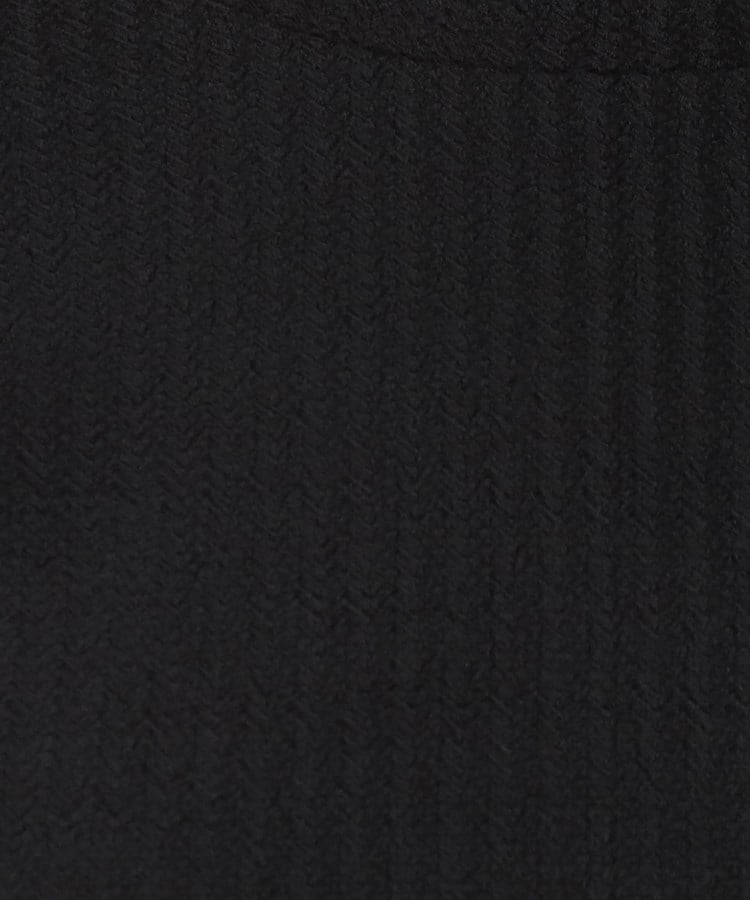 ◇シボ加工 ハイネックトップス【WEB限定サイズ】(カットソー ◇シボ加工 ハイネックトップス【WEB限定サイズ】(カットソー