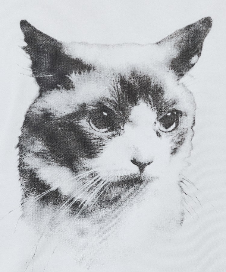 インデックス(index)のねこプリントTシャツ【洗濯機洗い可】12