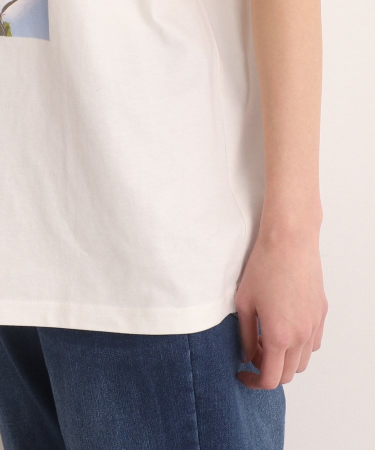 シューラルー(SHOO・LA・RUE)の【プチプラ/コットン100％】選べるプリント バリエーション 大人きれい 半袖Tシャツ6