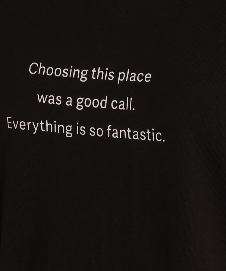 シューラルー(SHOO・LA・RUE)の【プチプラ/コットン100％】選べるプリント バリエーション 大人きれい 半袖Tシャツ22