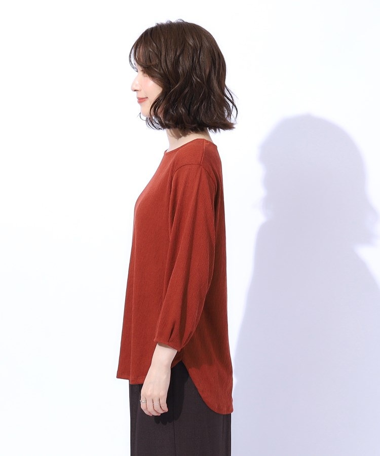シューラルー(SHOO・LA・RUE)の【洗える/8分袖】二の腕カバー 楊柳パフスリーブトップス22