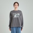シューラルー(SHOO・LA・RUE)の【洗える/S-LL】ふわふわあったか裏起毛 グラフィックスウェット【SHOO WARM】21