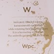 シューラルー(SHOO・LA・RUE)の【雨傘/ビニール傘】【Wpc．】インクアートアンブレラ4