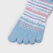 アダバット(レディース)(adabat(Ladies))の5本指ボーダーベリーショートソックス4