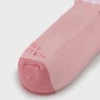 アダバット(レディース)(adabat(Ladies))のアンクルボーダーショートソックス3
