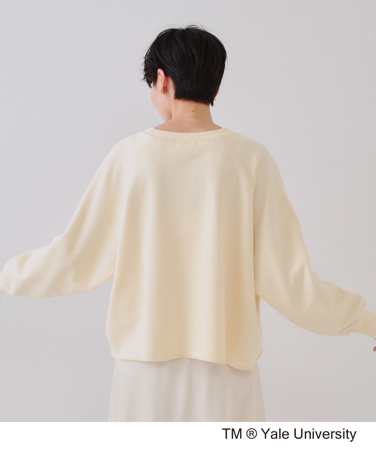 オペークドットクリップ(OPAQUE.CLIP)のカレッジロゴ スウェットプルオーバー15