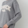 デッサン(レディース)(Dessin(Ladies))の【洗える】ラメロゴニット18