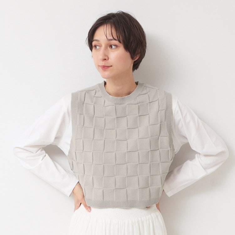 デッサン(レディース)(Dessin(Ladies))のブロックチェックニットベスト ベスト