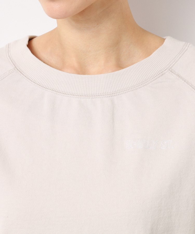 デッサン(レディース)(Dessin(Ladies))の【洗える】クロップド丈ポイントロゴ入りカットソー（S～L）16