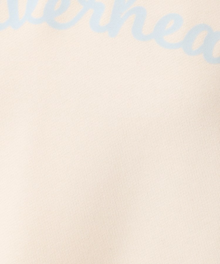 デッサン(レディース)(Dessin(Ladies))の【洗える】フロッキーロゴスウェット（S～L）12