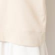 デッサン(レディース)(Dessin(Ladies))の【洗える】フロッキーロゴスウェット（S～L）18