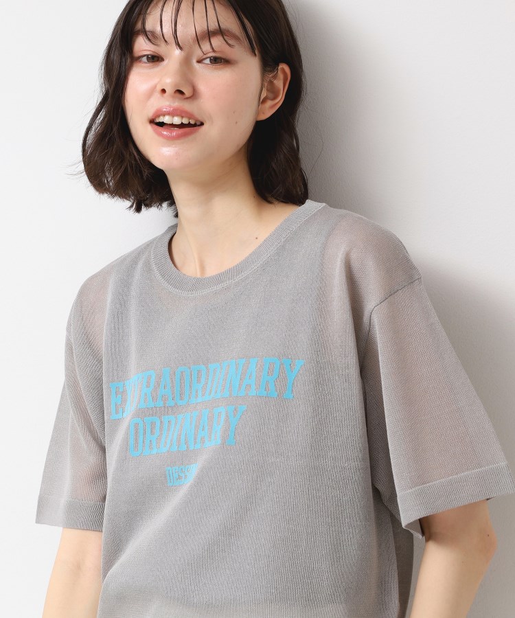 デッサン(レディース)(Dessin(Ladies))の【洗える】シースルーロゴニット1