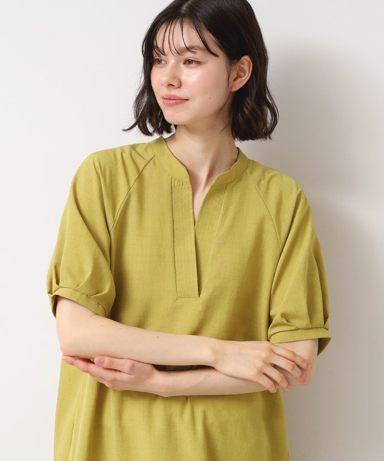 デッサン(レディース)(Dessin(Ladies))の【二の腕カバー・洗える】パフスリーブAラインフレアーワンピース1