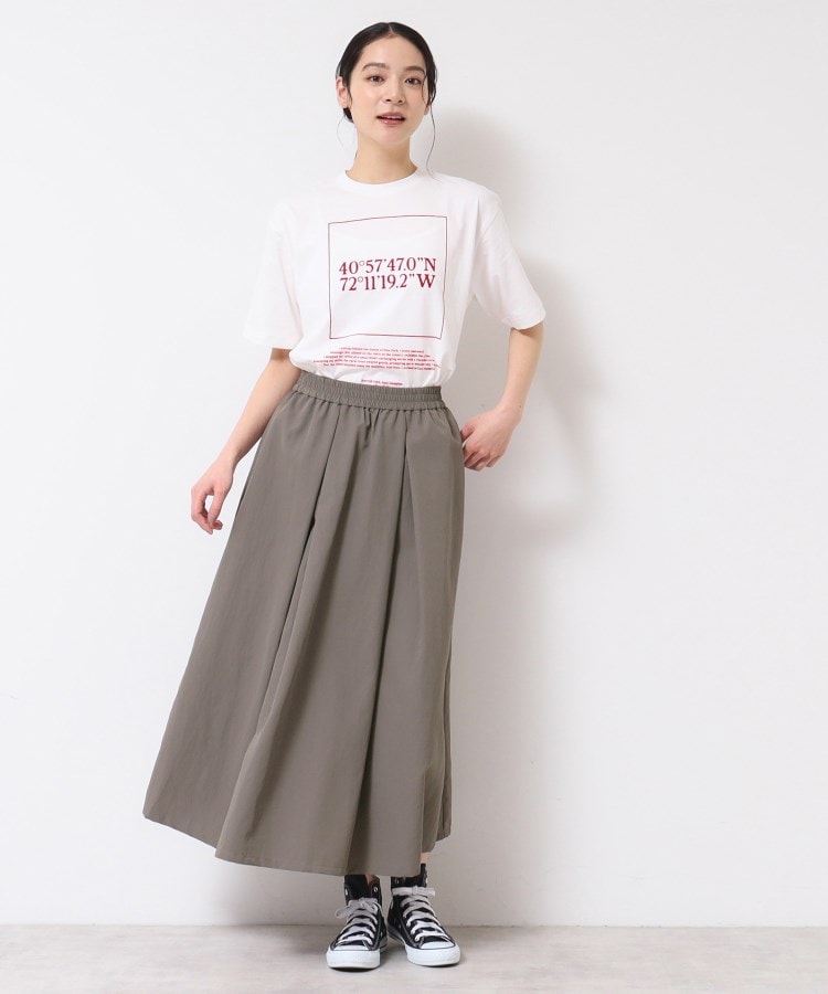 デッサン(レディース)(Dessin(Ladies))の【ウエストゴム・洗える】ナイロンフレアスカート10