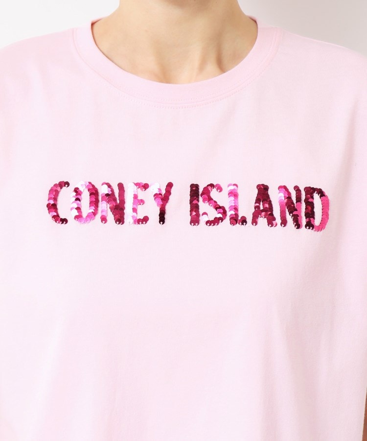 デッサン(レディース)(Dessin(Ladies))の【洗える】スパンコールロゴTシャツ（XS～L）20