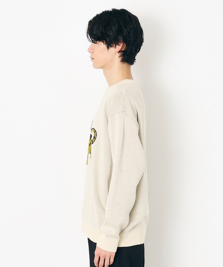 デッサン(メンズ)(Dessin(Men))の【洗える】トラ柄パイル編みニット10