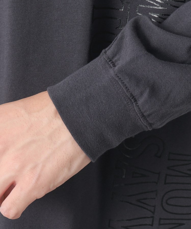 デッサン(メンズ)(Dessin(Men))のロゴロンT18
