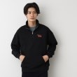 デッサン(メンズ)(Dessin(Men))の【洗える】トラ柄刺繍ハーフジップスウェット ブラック(019)
