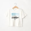 デッサン(キッズ)(Dessin(Kids))の【リンクコーデ】フォトプリントTシャツ ホワイト(001)