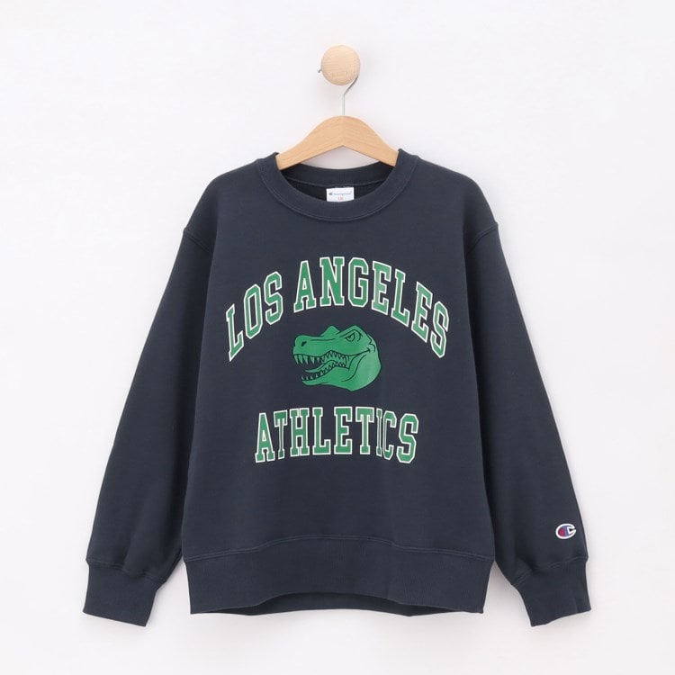 Champion チャンピオン トレーナー usa製 スウェット パワー